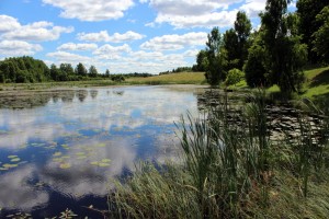 Sakoptākās sētas 2015